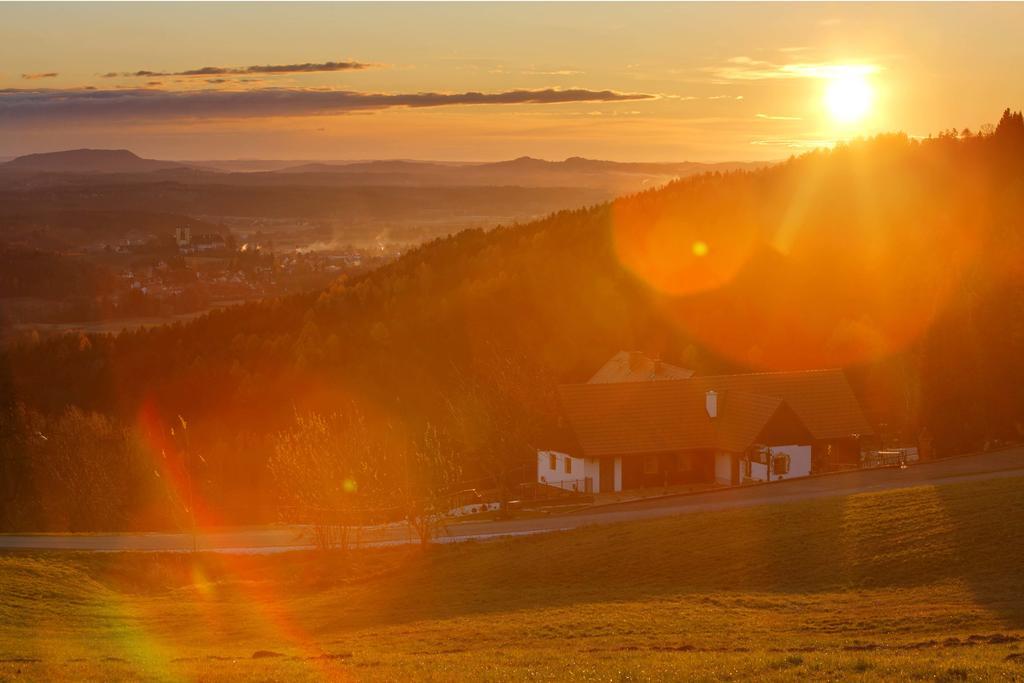 Hotel Schilcherlandhof 슈타인츠 외부 사진